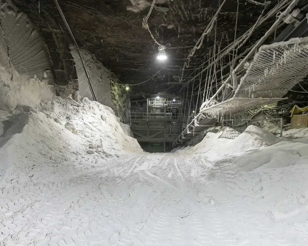 Is Salt-Mine Salt Worth Buying? A Deep Dive