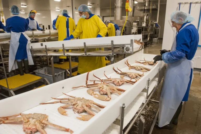 Navigating the Depths of Seafood-Processing Equipment Solutions