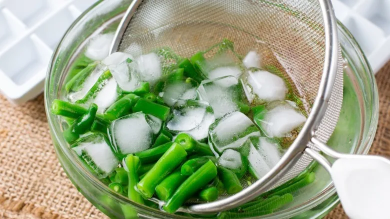 Shock Freezing Home Cooks Need to Know Now