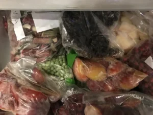 Shock Freezing for Home Cooks: What You Need to Know Now (Before You Ruin Another Meal)