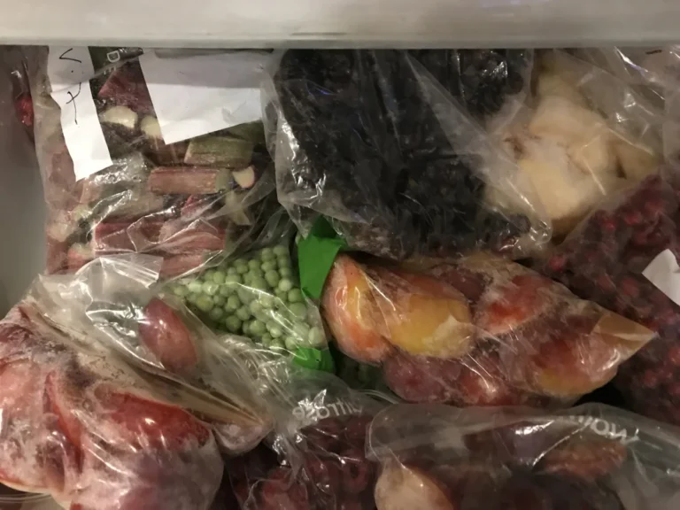 Shock Freezing for Home Cooks: What You Need to Know Now (Before You Ruin Another Meal)