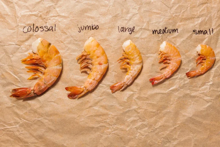 Shrimp Selection: Large vs. Medium - What's the Catch?