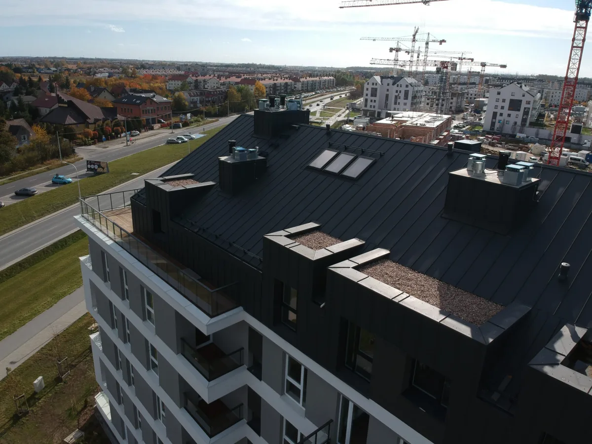 Slow-Cooked Kidney Beans: A Complete Guide