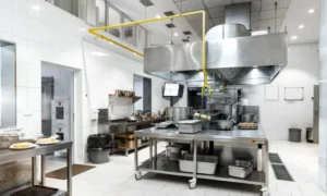 Small Kitchen, Big Output: Design Tips for Maximizing Efficiency