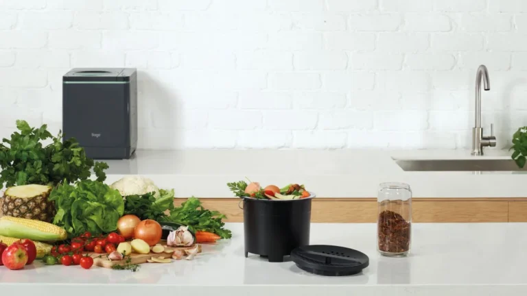 Smart Ways to Cut Food Waste at Home