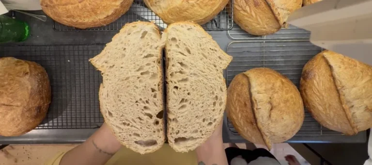 Mastering Sourdough Flat Oven Troubleshooting: A Comprehensive Guide