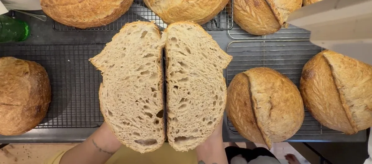 Mastering Sourdough Flat Oven Troubleshooting: A Comprehensive Guide