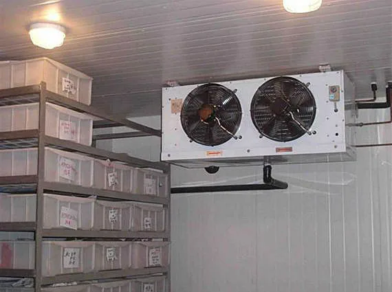 Strawberry Box Storage Solutions: Optimizing Space and Freshness