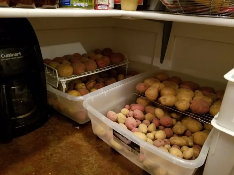 Mastering Sweet Potato Storage: Tips and Tricks for Optimal Freshness