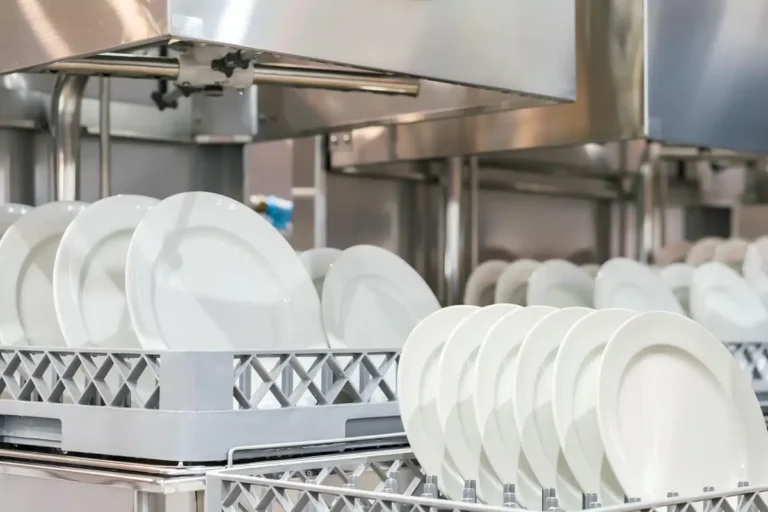Top Dishwashers for High-Volume Kitchens: A Comprehensive Guide