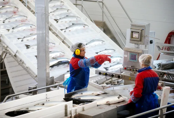 Top Salmon Processing Equipment for Restaurants in 2025