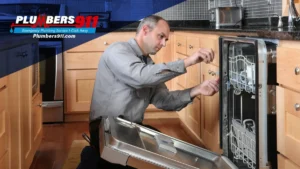 Dishwasher Not Working? Common Problems and Fixes