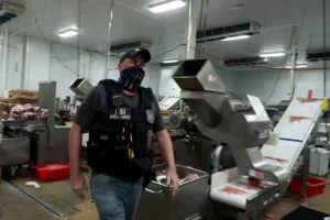 Why Restaurants Lock Down: Inside ICE Raid Procedures