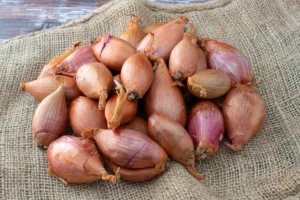Why Chefs Pick Shallots: Flavor Secrets & Kitchen Prep