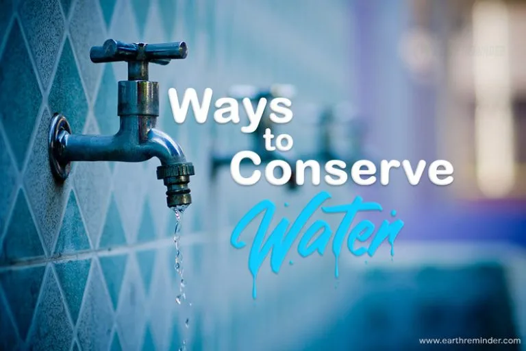 Best Practices for Water Conservation in Restaurants: Practical Steps to Save Water and Cut Costs