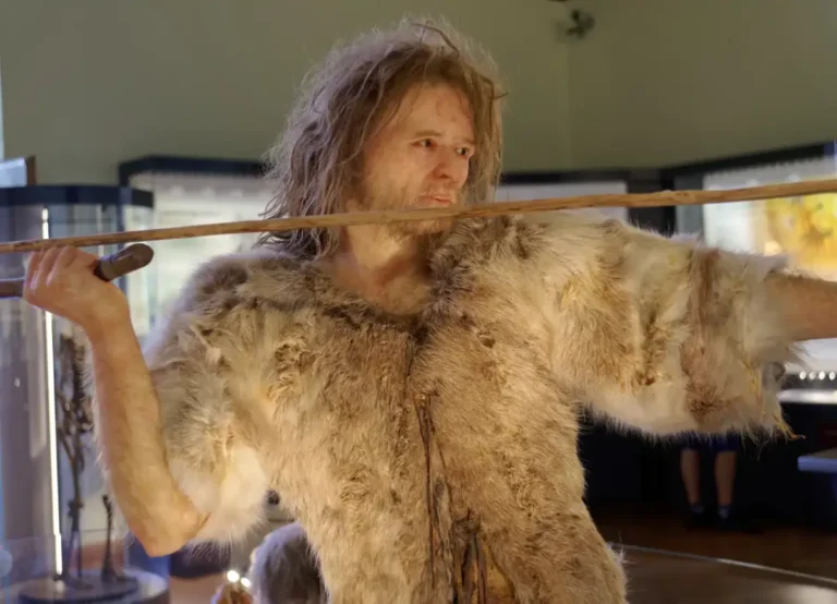 Cro-Magnon & Neanderthal Kitchens: What If?