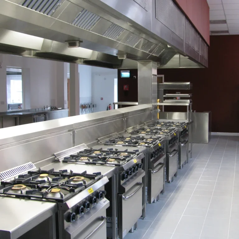 Energy-Efficient Commercial Ranges for Sustainable Kitchens