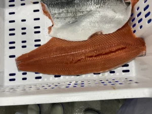 Gaping Salmon Ass-Hole Commercial Refrigeration Solutions
