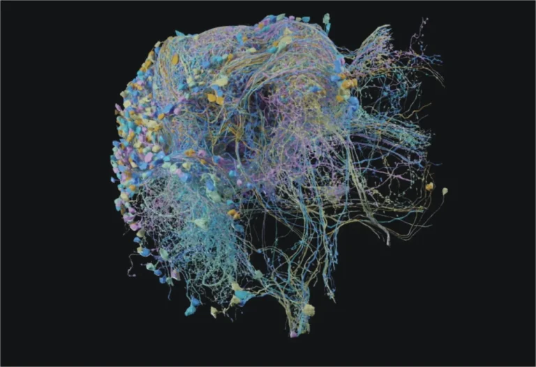Small Kitchen Cooking Hacks: Making the Most of Tiny Spaces