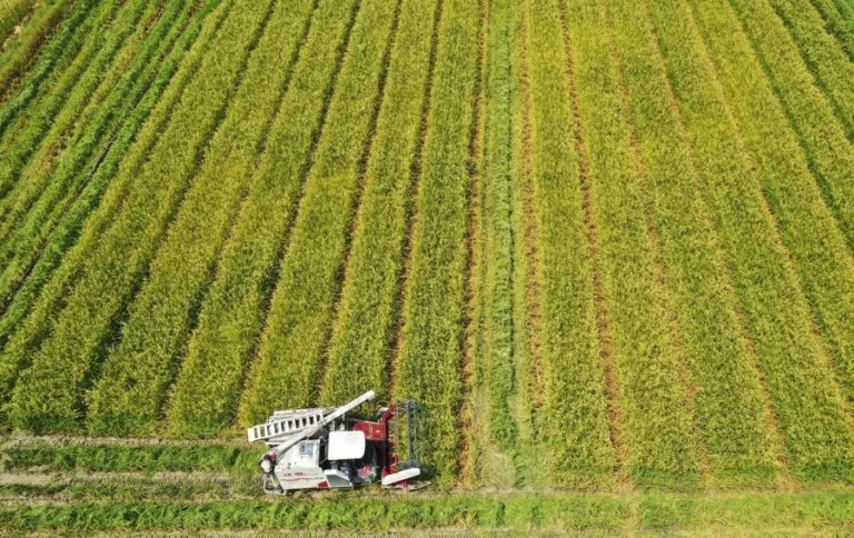 Powering Your Food Truck: Generators vs. Shore Power