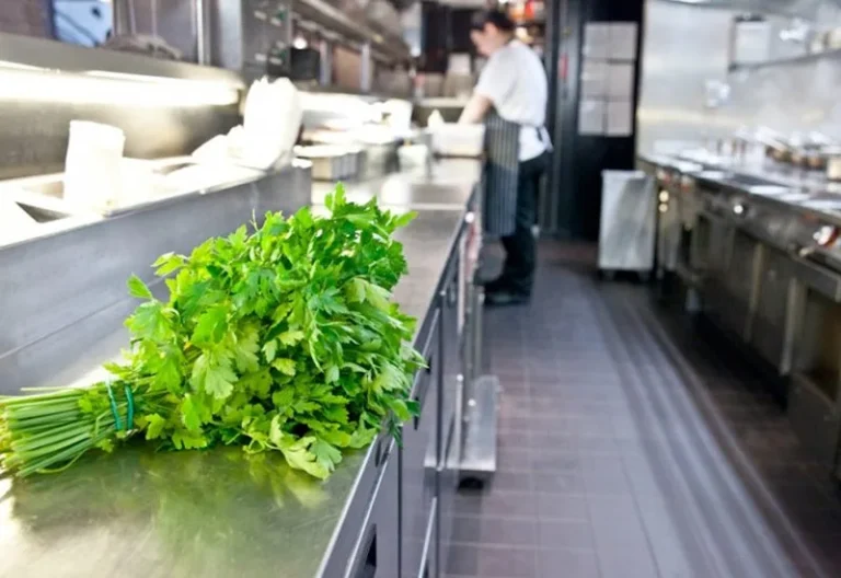 Slashing Waste & Bills: Green Your Commercial Kitchen