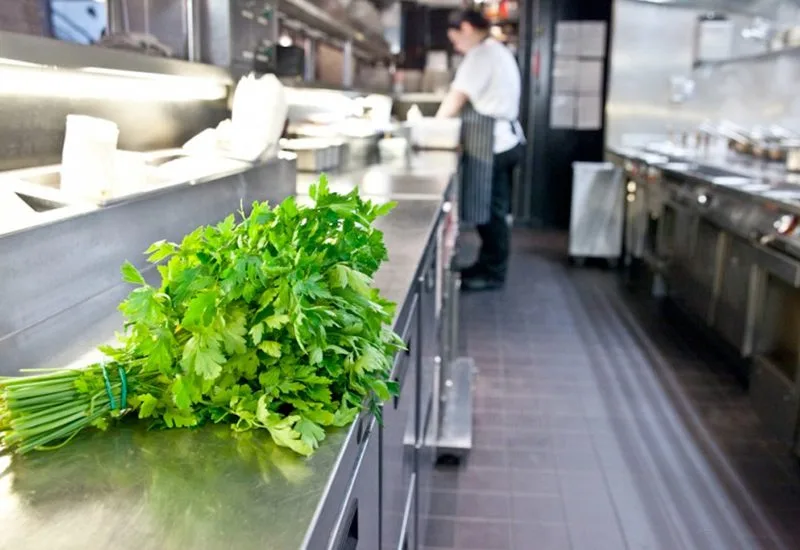 Slashing Waste & Bills: Green Your Commercial Kitchen
