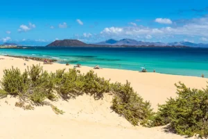 Top Outdoor Kitchen Equipment for Summer: Essential Gear for Sizzling Fun