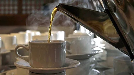 Upgrading Your Commercial Kitchen: Top-Tier Equipment Essentials